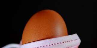 EGSER – EGE SERAMIK Hisse Bilgileri, Teknik ve Temel Analizi EGSEREGE SERAMIK Hisse Bilgileri, Teknik ve Temel Analizi