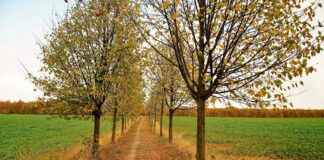 EKIZ – EKIZ KIMYA Hisse Bilgileri, Teknik ve Temel Analizi EKIZEKIZ KIMYA Hisse Bilgileri, Teknik ve Temel Analizi