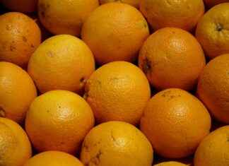 EPLASEGEPLAST Hisse Bilgileri, Teknik ve Temel Analizi EPLASEGEPLAST Hisse Bilgileri, Teknik ve Temel Analizi