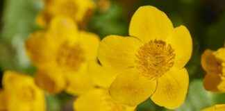 GARAN – GARANTI BANKASI Hisse Bilgileri, Teknik ve Temel Analizi GARANGARANTI BANKASI Hisse Bilgileri, Teknik ve Temel Analizi