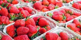 GEREL – GERSAN ELEKTRIK Hisse Bilgileri, Teknik ve Temel Analizi GERELGERSAN ELEKTRIK Hisse Bilgileri, Teknik ve Temel Analizi