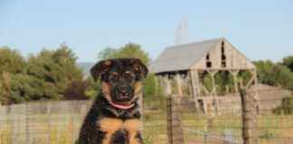 GSDDE – GSD DENİZCİLİK Hisse Bilgileri, Teknik ve Temel Analizi GSDDEGSD DENİZCİLİK Hisse Bilgileri, Teknik ve Temel Analizi