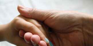 GSDHO – GSD HOLDING Hisse Bilgileri, Teknik ve Temel Analizi GSDHOGSD HOLDING Hisse Bilgileri, Teknik ve Temel Analizi