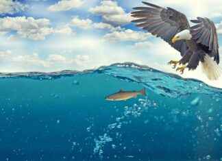 HUNER – HUN YENILENEBILIR ENERJI Hisse Bilgileri, Teknik ve Temel Analizi HUNERHUN YENILENEBILIR ENERJI Hisse Bilgileri, Teknik ve Temel Analizi