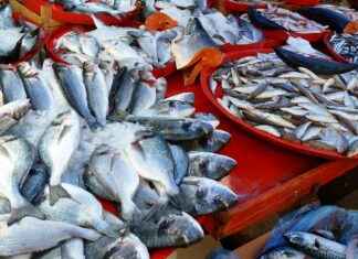 IZMDC İZMİR DEMİR ÇELİK Hisse Bilgileri, Teknik ve Temel Analizi IZMDC İZMİR DEMİR ÇELİK Hisse Bilgileri, Teknik ve Temel Analizi