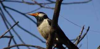 KONTR KONTROLMATIK TEKNOLOJI Hisse Bilgileri, Teknik ve Temel Analizi KONTR KONTROLMATIK TEKNOLOJI Hisse Bilgileri, Teknik ve Temel Analizi