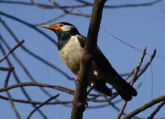 KONTR KONTROLMATIK TEKNOLOJI Hisse Bilgileri, Teknik ve Temel Analizi KONTR KONTROLMATIK TEKNOLOJI Hisse Bilgileri, Teknik ve Temel Analizi