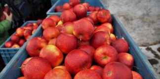 KRTEK KARSU TEKSTIL Hisse Bilgileri, Teknik ve Temel Analizi KRTEK KARSU TEKSTIL Hisse Bilgileri, Teknik ve Temel Analizi