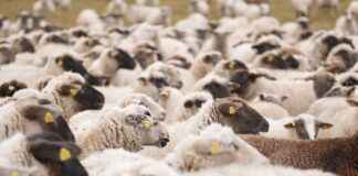 LMKDC LIMAK DOĞU ANADOLU Hisse Bilgileri, Teknik ve Temel Analizi LMKDC LIMAK DOĞU ANADOLU Hisse Bilgileri, Teknik ve Temel Analizi