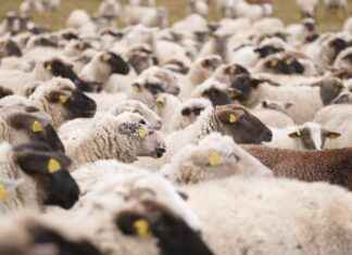 LMKDC LIMAK DOĞU ANADOLU Hisse Bilgileri, Teknik ve Temel Analizi LMKDC LIMAK DOĞU ANADOLU Hisse Bilgileri, Teknik ve Temel Analizi