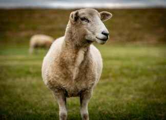 MAKIM MAKIM MAKINE Hisse Bilgileri, Teknik ve Temel Analizi MAKIM MAKIM MAKINE Hisse Bilgileri, Teknik ve Temel Analizi