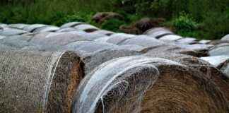 MRGYO MARTI GMYO Hisse Bilgileri, Teknik ve Temel Analizi MRGYO MARTI GMYO Hisse Bilgileri, Teknik ve Temel Analizi