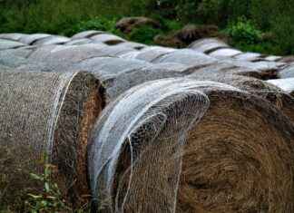 MRGYO MARTI GMYO Hisse Bilgileri, Teknik ve Temel Analizi MRGYO MARTI GMYO Hisse Bilgileri, Teknik ve Temel Analizi