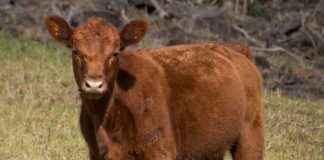 ONRYT ONUR TEKNOLOJI Hisse Bilgileri, Teknik ve Temel Analizi ONRYT ONUR TEKNOLOJI Hisse Bilgileri, Teknik ve Temel Analizi