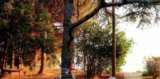 ORMA ORMAN MAHSULLERI Hisse Bilgileri, Teknik ve Temel Analizi ORMA ORMAN MAHSULLERI Hisse Bilgileri, Teknik ve Temel Analizi