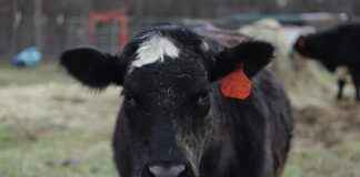 OTTO HOLDING Hisse Bilgileri, Teknik ve Temel Analizi OTTO HOLDING Hisse Bilgileri, Teknik ve Temel Analizi