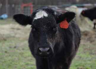 OTTO HOLDING Hisse Bilgileri, Teknik ve Temel Analizi OTTO HOLDING Hisse Bilgileri, Teknik ve Temel Analizi