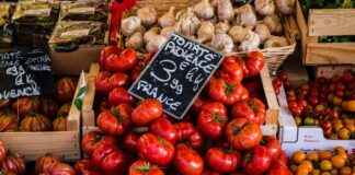 OZATD OZATA DENİZCİLİK Hisse Bilgileri, Teknik ve Temel Analizi OZATD OZATA DENİZCİLİK Hisse Bilgileri, Teknik ve Temel Analizi