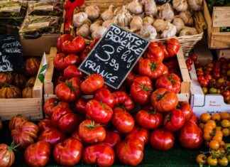 OZATD OZATA DENİZCİLİK Hisse Bilgileri, Teknik ve Temel Analizi OZATD OZATA DENİZCİLİK Hisse Bilgileri, Teknik ve Temel Analizi