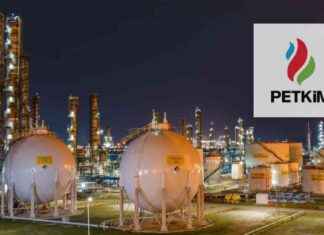 Petkim Petrokimya (PETKM) Hisseleri İçin Yeni Hedef Fiyat – Analiz ve Tahmin petkim-petrokimya-petkm-hisseleri-iin-yeni-hedef-fiyat-analiz-ve-tahmin