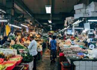 PETKM PETKIM Hisse Bilgileri, Teknik ve Temel Analizi PETKM PETKIM Hisse Bilgileri, Teknik ve Temel Analizi