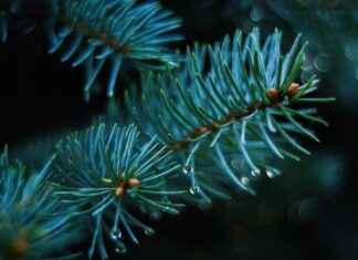 PNSUT PINAR SUT Hisse Bilgileri, Teknik ve Temel Analizi PNSUT PINAR SUT Hisse Bilgileri, Teknik ve Temel Analizi