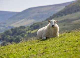 PRZMA PRIZMA PRESS MATBAACILIK Hisse Bilgileri, Teknik ve Temel Analizi PRZMA PRIZMA PRESS MATBAACILIK Hisse Bilgileri, Teknik ve Temel Analizi
