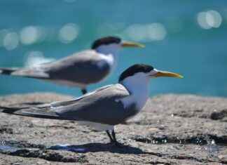 QUAGR QUA GRANITE HAYAL YAPI Hisse Bilgileri, Teknik ve Temel Analizi QUAGR QUA GRANITE HAYAL YAPI Hisse Bilgileri, Teknik ve Temel Analizi