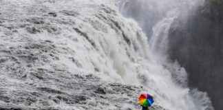 RNPOL RAINBOW POLIKARBONAT Hisse Bilgileri, Teknik ve Temel Analizi RNPOL RAINBOW POLIKARBONAT Hisse Bilgileri, Teknik ve Temel Analizi