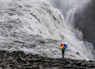 RNPOL RAINBOW POLIKARBONAT Hisse Bilgileri, Teknik ve Temel Analizi RNPOL RAINBOW POLIKARBONAT Hisse Bilgileri, Teknik ve Temel Analizi