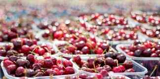 SELEC SELCUK ECZA DEPOSU Hisse Bilgileri, Teknik ve Temel Analizi SELEC SELCUK ECZA DEPOSU Hisse Bilgileri, Teknik ve Temel Analizi