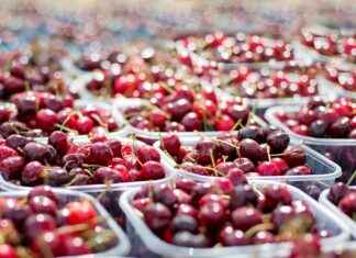 SELEC SELCUK ECZA DEPOSU Hisse Bilgileri, Teknik ve Temel Analizi SELEC SELCUK ECZA DEPOSU Hisse Bilgileri, Teknik ve Temel Analizi