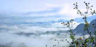 SELVA GIDA Hisse Bilgileri, Teknik ve Temel Analizi SELVA GIDA Hisse Bilgileri, Teknik ve Temel Analizi