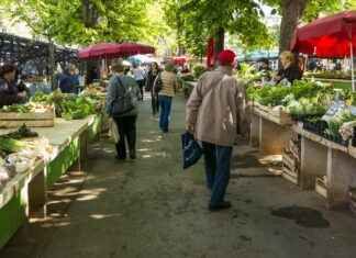 SEYKM SEYITLER KIMYA Hisse Bilgileri, Teknik ve Temel Analizi SEYKM SEYITLER KIMYA Hisse Bilgileri, Teknik ve Temel Analizi