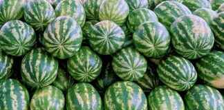 SISE SISE CAM Hisse Bilgileri, Teknik ve Temel Analizi SISE SISE CAM Hisse Bilgileri, Teknik ve Temel Analizi