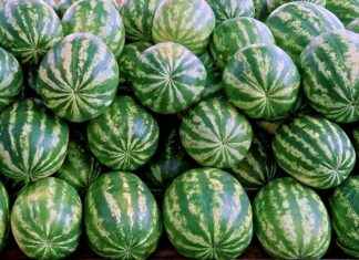 SISE SISE CAM Hisse Bilgileri, Teknik ve Temel Analizi SISE SISE CAM Hisse Bilgileri, Teknik ve Temel Analizi