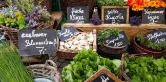 SKBNK Şekerbank Hisse Bilgileri, Teknik ve Temel Analizi SKBNK Şekerbank Hisse Bilgileri, Teknik ve Temel Analizi