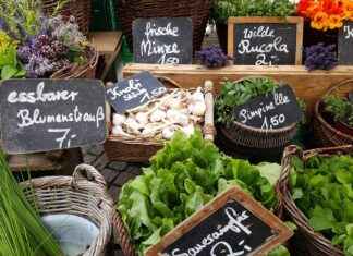 SKBNK Şekerbank Hisse Bilgileri, Teknik ve Temel Analizi SKBNK Şekerbank Hisse Bilgileri, Teknik ve Temel Analizi