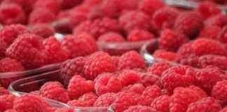 SNGYO SINPAS GMYO Hisse Bilgileri, Teknik ve Temel Analizi SNGYO SINPAS GMYO Hisse Bilgileri, Teknik ve Temel Analizi