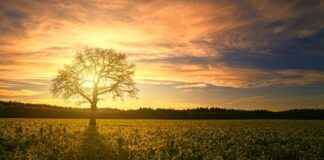 TARKM TARKIM BITKI KORUMA Hisse Bilgileri, Teknik ve Temel Analizi TARKM TARKIM BITKI KORUMA Hisse Bilgileri, Teknik ve Temel Analizi