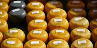 TEKTU TEK-ART TURİZM Hisse Bilgileri, Teknik ve Temel Analizi TEKTU TEK-ART TURİZM Hisse Bilgileri, Teknik ve Temel Analizi