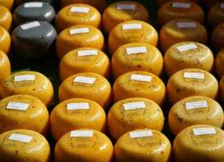 TEKTU TEK-ART TURİZM Hisse Bilgileri, Teknik ve Temel Analizi TEKTU TEK-ART TURİZM Hisse Bilgileri, Teknik ve Temel Analizi