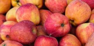 TEZOL EUROPAP TEZOL KAGIT Hisse Bilgileri, Teknik ve Temel Analizi TEZOL EUROPAP TEZOL KAGIT Hisse Bilgileri, Teknik ve Temel Analizi