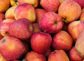 TEZOL EUROPAP TEZOL KAGIT Hisse Bilgileri, Teknik ve Temel Analizi TEZOL EUROPAP TEZOL KAGIT Hisse Bilgileri, Teknik ve Temel Analizi