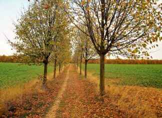 TSGYO TSKB GMYO Hisse Bilgileri, Teknik ve Temel Analizi TSGYO TSKB GMYO Hisse Bilgileri, Teknik ve Temel Analizi