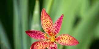 TTRAK TURK TRAKTOR Hisse Bilgileri, Teknik ve Temel Analizi TTRAK TURK TRAKTOR Hisse Bilgileri, Teknik ve Temel Analizi