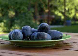 VANGD VANET GIDA Hisse Bilgileri, Teknik ve Temel Analizi VANGD VANET GIDA Hisse Bilgileri, Teknik ve Temel Analizi