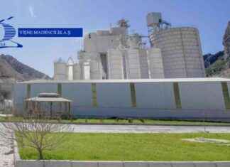 Vişne Madencilik Halka Arzı Sonuçları ve Lot Miktarı vine-madencilik-halka-arz-sonular-ve-lot-miktar