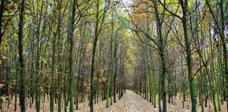 VRGYO VERA KONSEPT GMYO Hisse Bilgileri, Teknik ve Temel Analizi VRGYO VERA KONSEPT GMYO Hisse Bilgileri, Teknik ve Temel Analizi