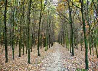 VRGYO VERA KONSEPT GMYO Hisse Bilgileri, Teknik ve Temel Analizi VRGYO VERA KONSEPT GMYO Hisse Bilgileri, Teknik ve Temel Analizi